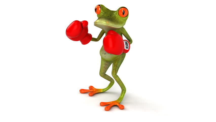 Fun frog with boxing gloves