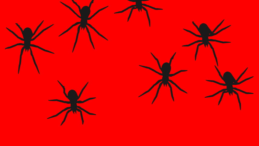 creepy spiders