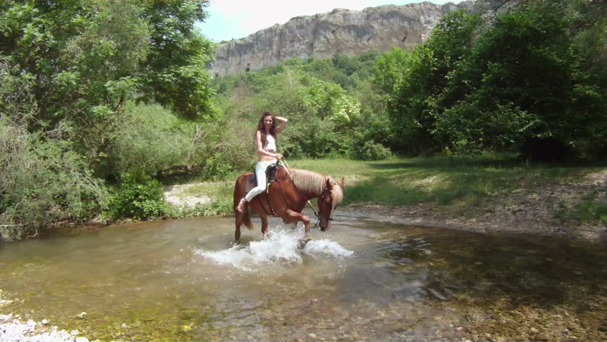 Rebellious horse standing in a middle of a river.