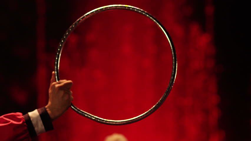 The white cat jumps into the ring in circus. Slow motion 50 frames/sec. Shot on