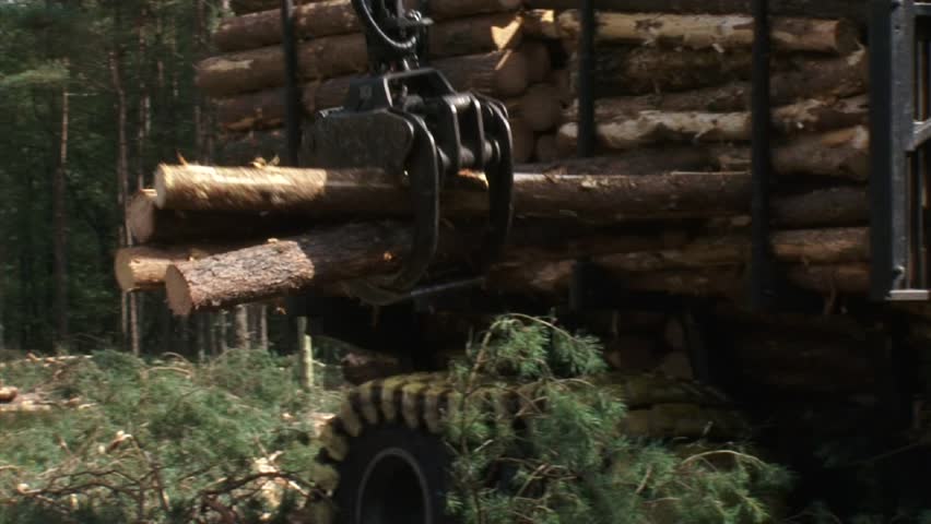 gathering + loading timber on logging truck (valmet 840-3) close up