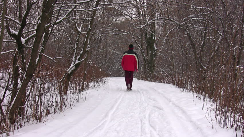 Person walking in winter scenery 