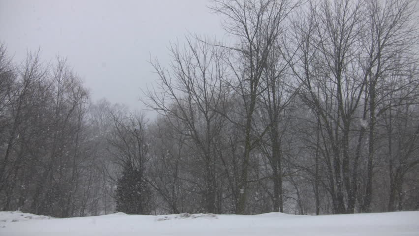 A winter scenic of a snowy blizzard blowing through a park (High Definition)