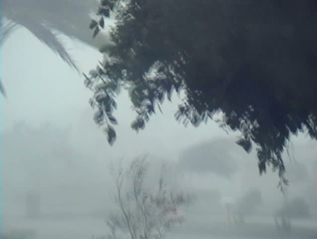 100 MPH Winds and Rain!