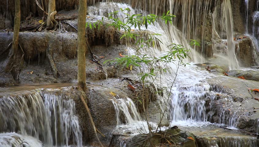 Small tree in the middle of waterfall in, Kanchana buri, Thailand