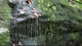 Water on the stones