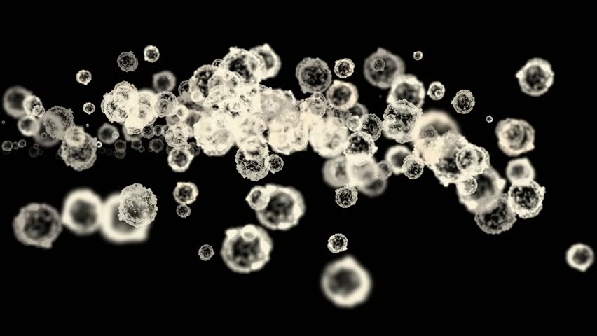 cells & virus,dust particles.