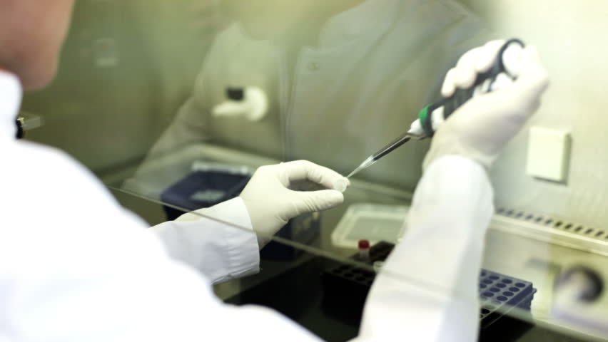 DNA research in the Department of Microbiology in a hospital