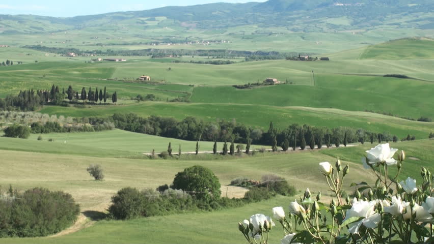 Typical landscape of the Val d'Orcia in Tuscany, Italy