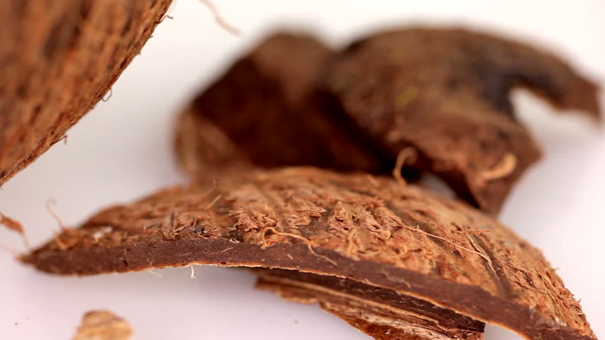 Coconut Broken