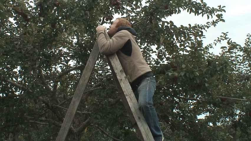 Goofy video of a man on the endless quest to find the perfect apple. By the end, the character hit the cameraman with an apple...