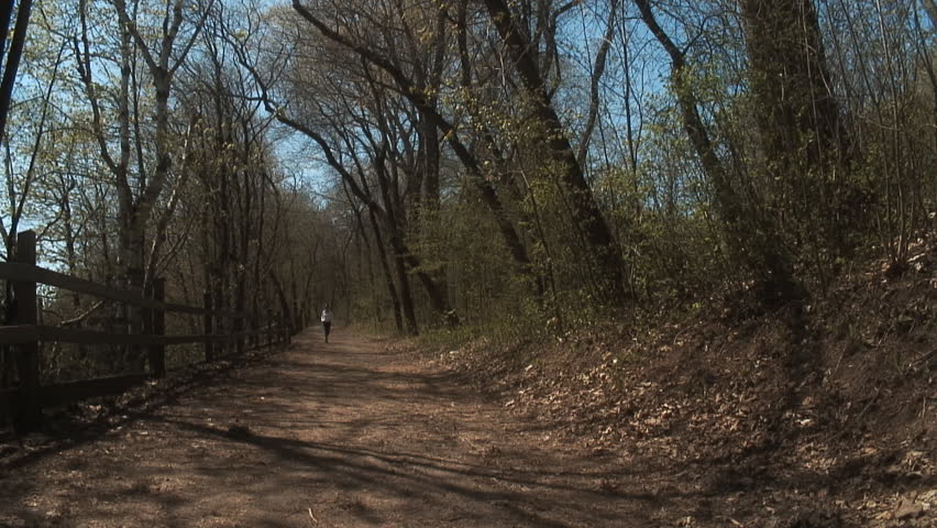 video of a sportive woman jogging in the wood