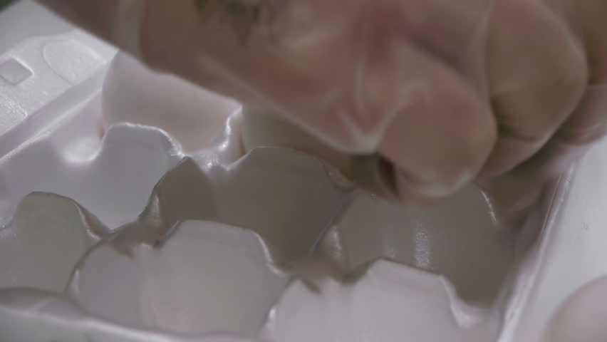 Placing Eggs in Egg Packaging With Hand Gloves.