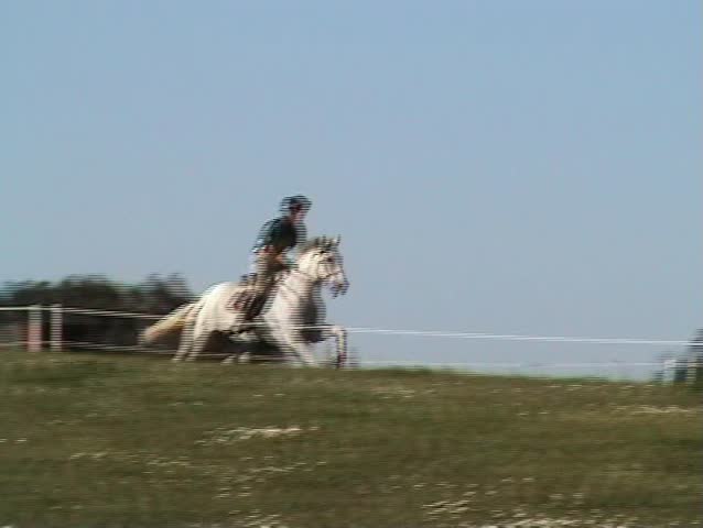 Horseman galloping and jumping