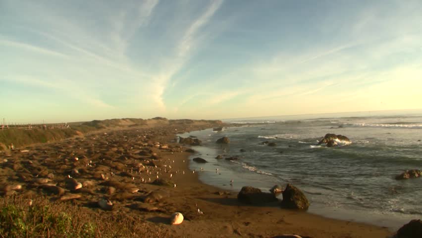 Elephant Seal Beach Time-Lapse