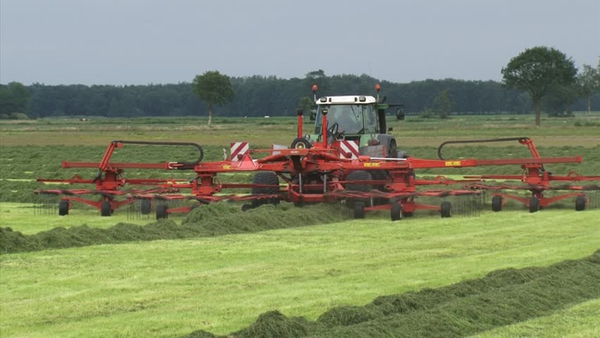 Farmer haying in grassland