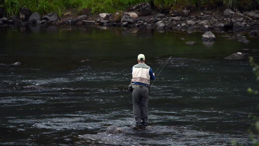 A wide angle shot of a man in waterproof overalls standing in a river and casts his lure with his rod while he spends his day fly fishing. The river current is strong and his catch will be bountiful.