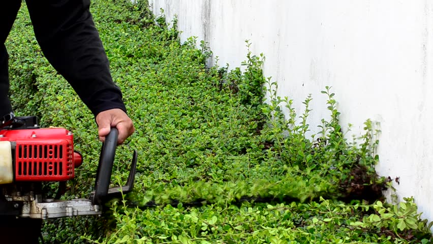Worker cutting grass with lawn mower