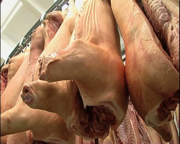 Pork Carcasses