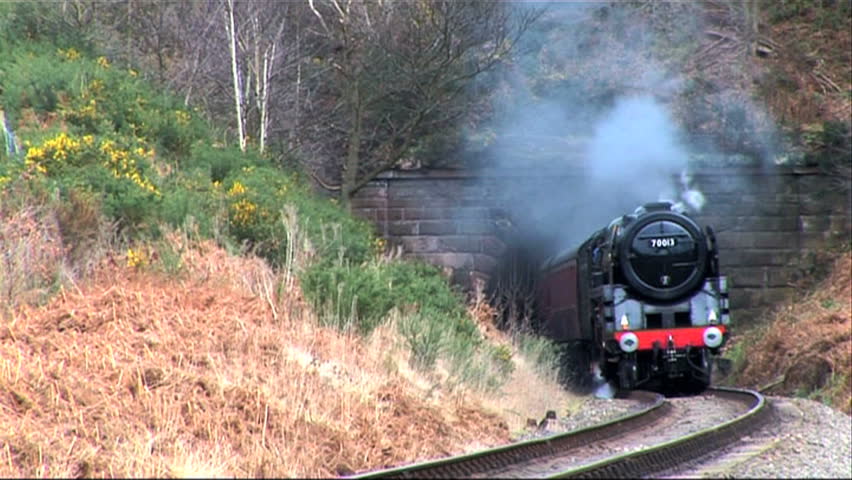 steam train emerging from the tunnel