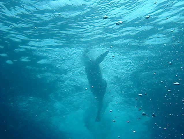 A man swimming crawl - underwater view