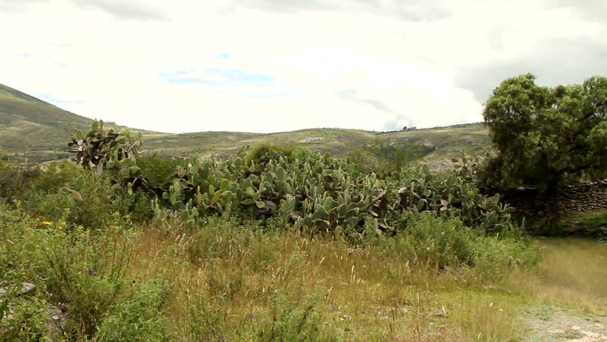 Countryside landscape and indigenous Wari wall in Peru
