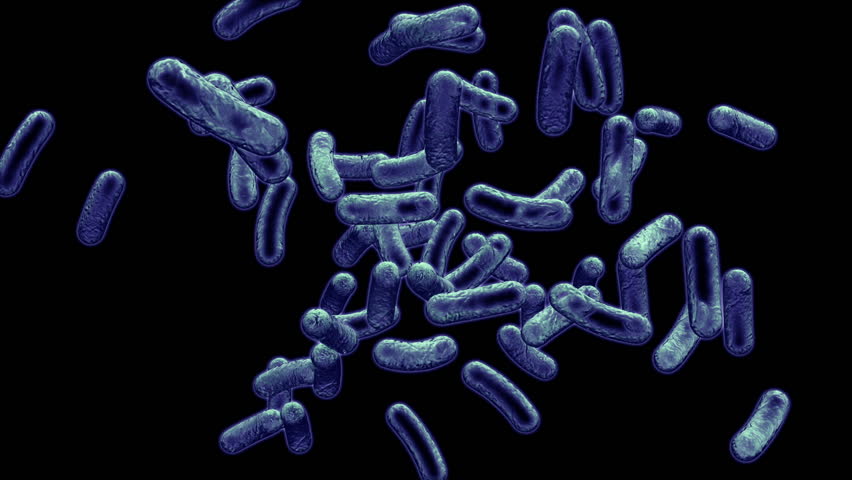 Multiplying Infected Cells