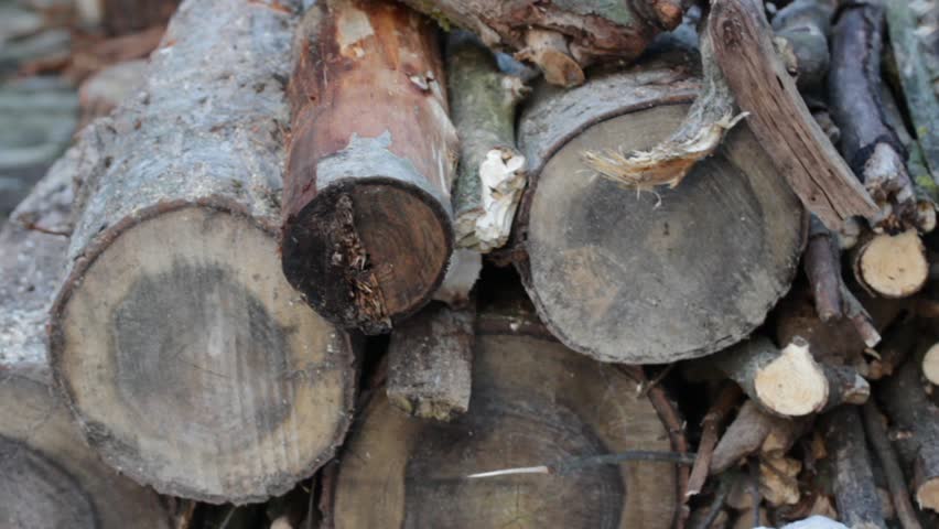 Man sawing a log chainsaw