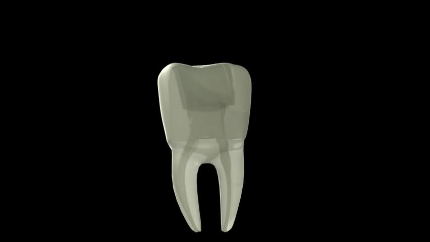 Side view of perspex see through 3D root canal therapy and dental instrument used black background