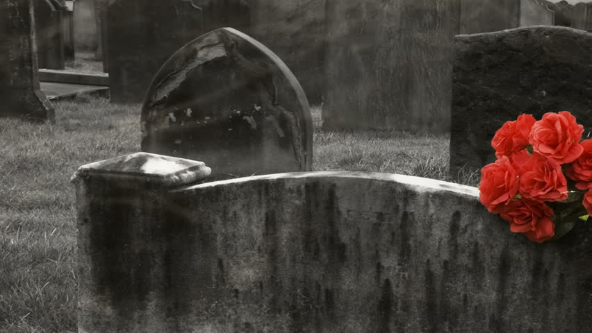 Very slow pan L/R of a bunch of roses on a blank gravestone with a misty foggy effect