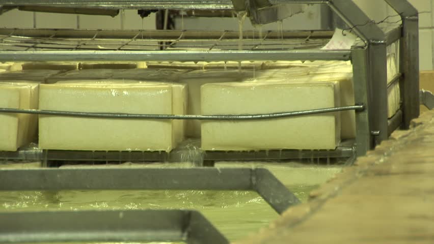 Plant for the production of cheese. 
