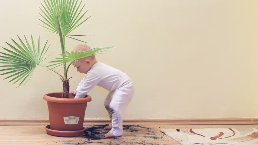 Funny baby taking off the soil from flower spot making a big mess