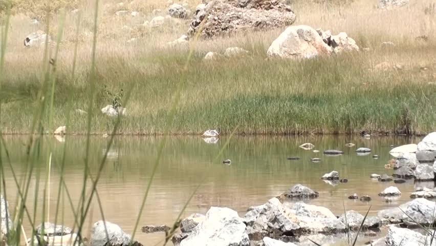 Crater lakeside, stones in the water, zoom out