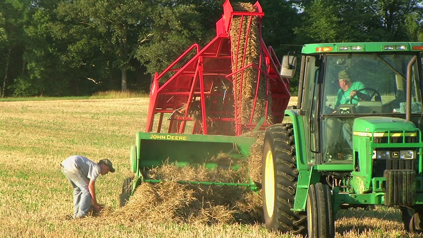 Farmer square baling hay and using accumulator.


