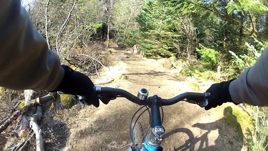 P.O.V (point of view) mountain biking in a scenic Icelandic forest