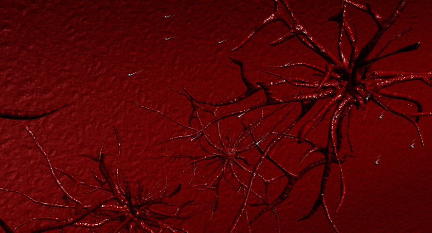 miracle of life, sperms attack, inside body imitation - red background