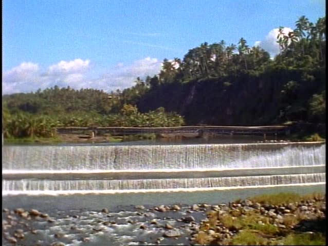 Bali tropical jungle, green, lush rainforest, dam, water flowing over, pan right