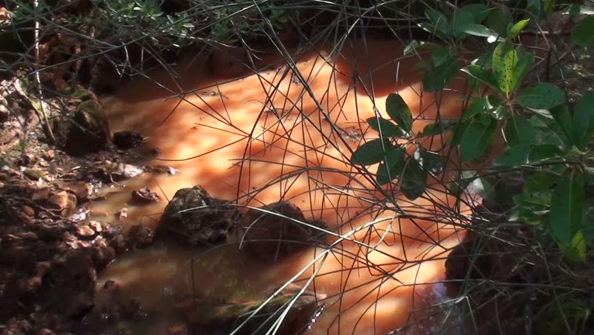 Hidden natural pool with red rainwater zoom out
