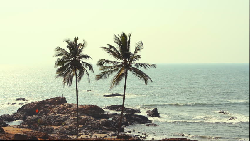India Goa Vagator beach February 20, 2013. Palm Trees Silhouette At Sunset