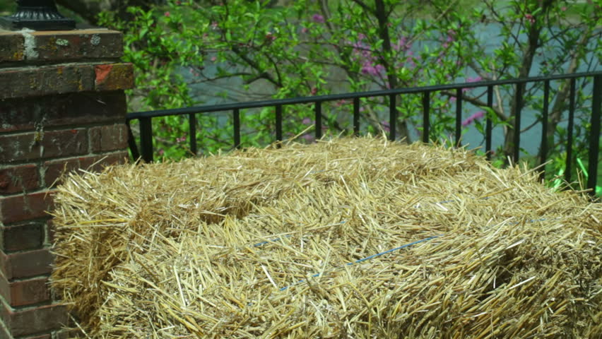hay or straw bales.