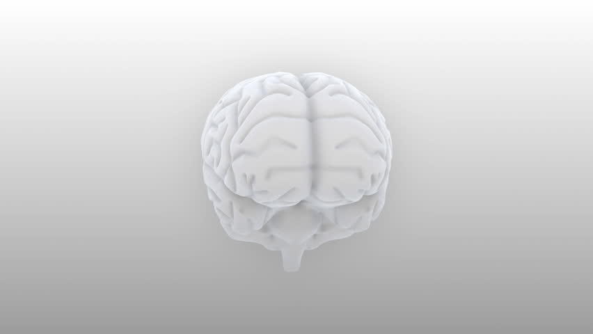 Brain images.