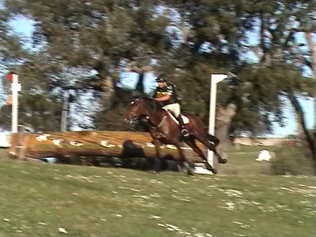 Horseman galloping and jumping