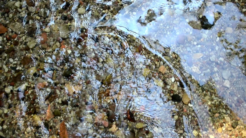 legs with flip-flop shoes walk imitation through forest park brook stream water flow