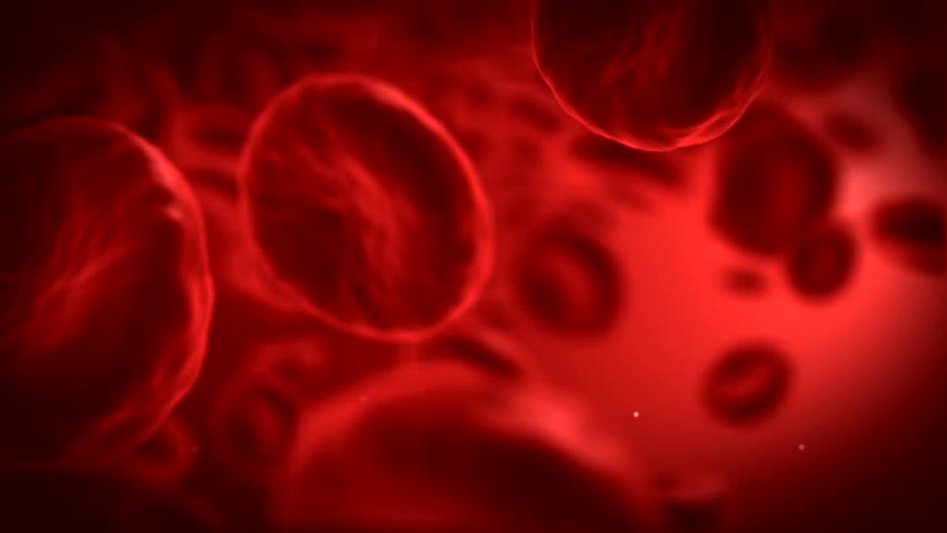Red blood cells  - part 2