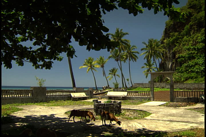 MORONI, UNION OF THE COMOROS (COMOROS ISLANDS), AFRICA - CIRCA NOVEMBER 1998: Three goats grazing in scenic park overlooking the ocean.