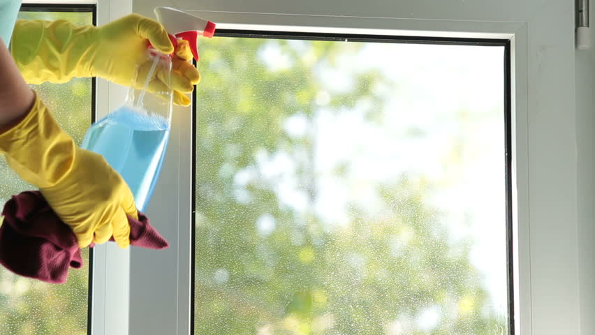 Female hands washing the window at home