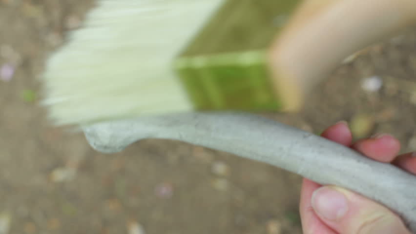 Brushing off a bone, paleontologist or archaeological concept