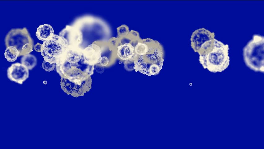 cells & virus,dust particles.