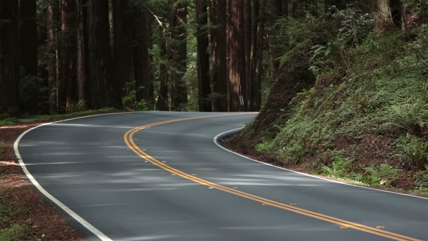 Red car turns corner in Redwood forest California. Sequoia National Park in southern Sierra Nevada. Established 1890. 404,063 acres.Famous for giant sequoia trees the largest trees on Earth. 