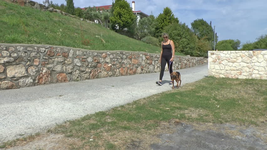female helper at a dog sanctuary walking a dog